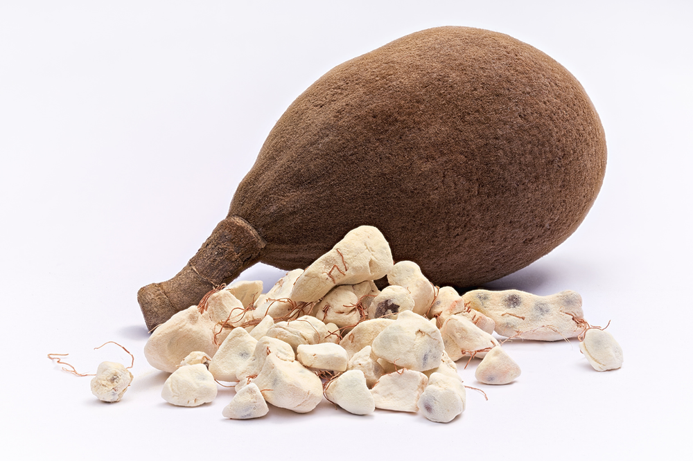 The Baobab fruit and its pulp 